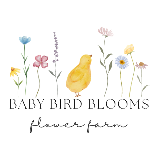 Favicon Baby Bird Blooms Flower Farm logo