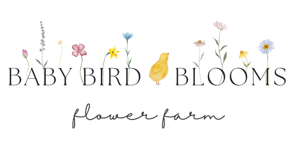 Logo for Baby Bird Blooms Flower Farm in Alberta Canada 